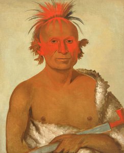 Pash-ee-pa-hó, Little Stabbing Chief, the Younger, One of Black Hawk