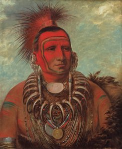 Shon-ta-yi-ga, Little Wolf, a Famous Warrior