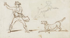 A Man Throwing a Ball to a Dog