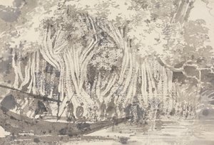 A Pipul Tree by George Chinnery
