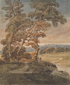 Trees on a Hillside Path by George Chinnery