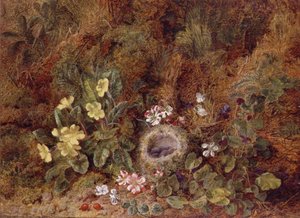 Still Life with Bird