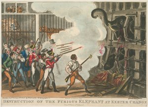 Destruction of the Furious Elephant at Exeter Change by George Cruikshank