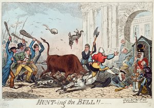 Hunting the Bull