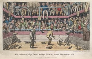 Rats Being Killed, 