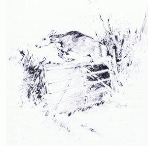 Like an arrow from a bow by George Denholm Armour