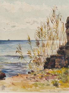 At San Remo Looking Over the Mediterranean, 10th January 1878
