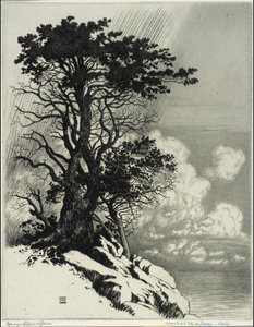 Coast at Monterey, California by George Elbert Burr