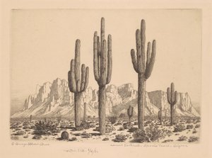 Desert Sentinels, Apache Trail, Arizona by George Elbert Burr