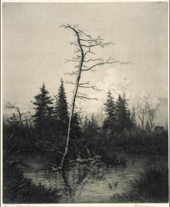 Evening by George Elbert Burr