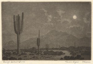 Moonlight-Phoenix by George Elbert Burr
