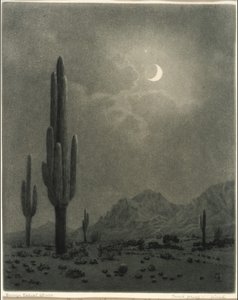 New Moon and Evening Star, Phoenix by George Elbert Burr