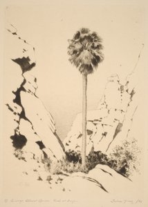 Palm Canyon (no.1) by George Elbert Burr