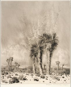 Springtime, Paradise Valley, Arizona by George Elbert Burr