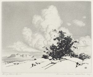 Summer Cloud, Apache Trail, Arizona by George Elbert Burr