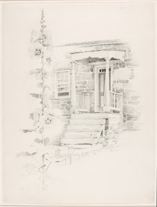 Untitled (Hollyhock)