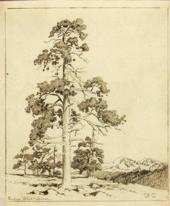 Untitled (transfer drawing for print) by George Elbert Burr