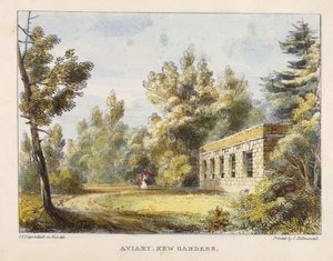 Aviary, Kew Gardens, plate 10 from Kew Gardens: A Series of Twenty-Four Drawings on Stone, engraved by Charles Hullmandel, published 1820 by George Ernest after Papendiek