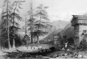 Village of Koghera and Deodar Forest, near the Choor, 1838
