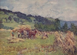 A Cornfield
