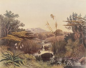 The Umnonoti River at Dusk
