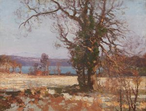 Winter Sunshine