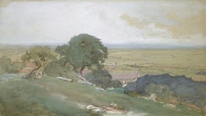 Olive Trees at Tivoli