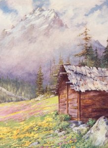 Caltha palustris and Primula farinosa on the upper fields of Champex towards the end of May by George Jackson Flemwell