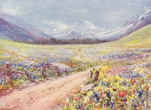 June Meadows of Salvia, Lychnis, etc, in the Val Ferret, Just Before Arriving at the Village of Praz de Fort by George Jackson Flemwell
