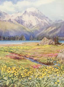 The upper fields of Champex early in June, with the Grand Combin in the distance by George Jackson Flemwell