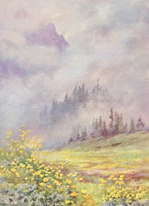 Trollius Europaeus, the Globe Flower, on the Cloud-Swept Fields in Early June by George Jackson Flemwell
