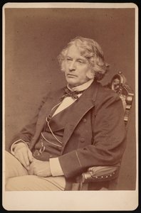Portrait of Charles Sumner