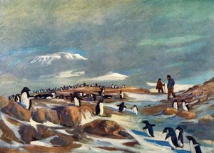 Return of the Penguins, c. 1908, 1909