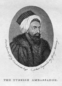 The Turkish Ambassador