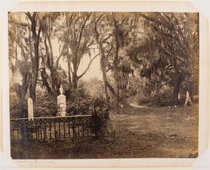 Buen-Ventura, Savannah, Georgia by George N. Barnard