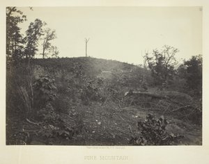 Pine Mountain