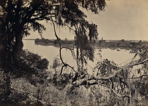 [Savannah River, Near Savannah, Georgia] by George N. Barnard