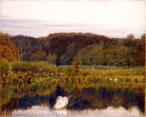 Abinger Mill Pond, Surrey - Morning in Late Autumn