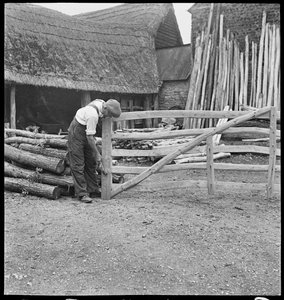 A man making a field gate in Aston, 1930-50 by George R. Long