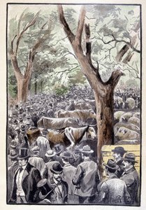 The Crowd Was Already Crowding the Place of the Competition (page 259) in 