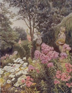 Phlox and Daisy by George Samuel Elgood