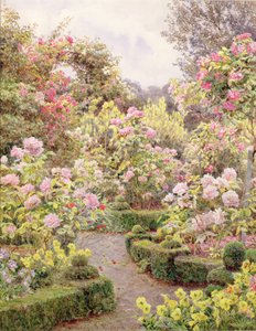 Raundscliffe - Everywhere are Roses