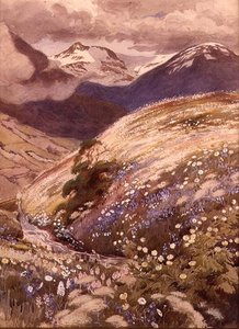 Alpine Flowers by George Soper
