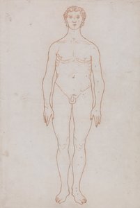 Study of the Human Figure, Anterior View by George Stubbs
