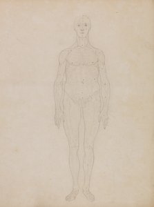 Study of the Human Figure, Anterior View by George Stubbs