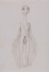 Owl Standing, Anterior View by George Stubbs