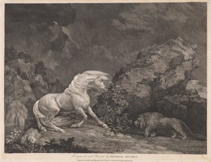 A Horse Affrighted by a Lion