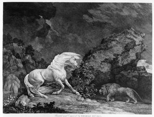 A Horse Affrighted by a Lion, engraved by the artist