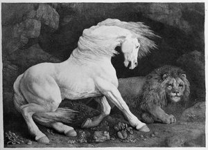 A Horse Affrighted by a Lion, engraved by the artist