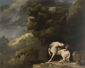 A Lion Attacking a Horse